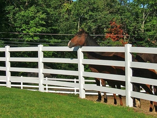 4- Rail Horse Fence